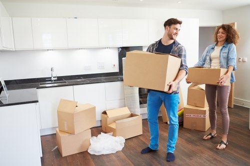 Man with a van Hampton moving boxes and household items